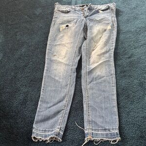 Harper Distressed Straight Leg Jeans in Blue
